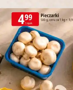 E.Leclerc Pieczarki oferta