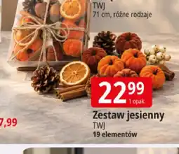 E.Leclerc Zestaw jesienny Twj 19 elementów oferta