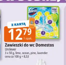 E.Leclerc Zawieszki do wc Domestos lime 3-pak oferta