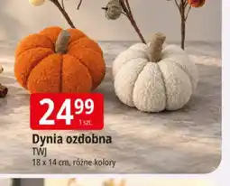 E.Leclerc Dynia ozdobna Twj 18x14 cm oferta