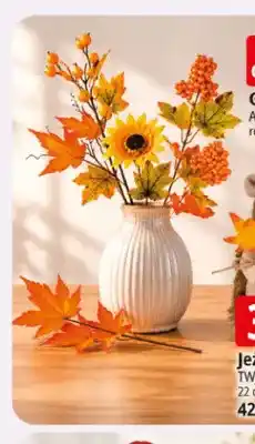E.Leclerc Gałązka ozdobna Arpex oferta