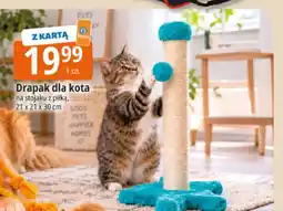 E.Leclerc Drapak dla kota na stojaku z piłką oferta
