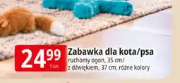 E.Leclerc Zabawka dla kota/psa ruchomy ogon 35 cm oferta