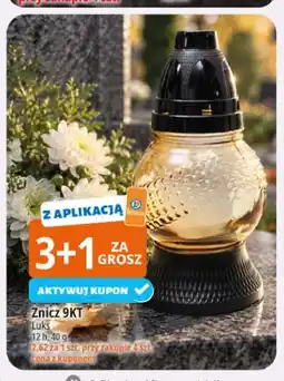 E.Leclerc Znicz 9KT Luks oferta