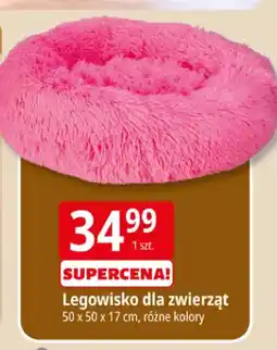 E.Leclerc Legowisko dla zwierząt oferta
