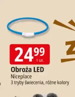 E.Leclerc ObroŰa LED Niceplace oferta
