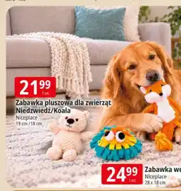 E.Leclerc Zabawka pluszowa dla zwierząt NiedŰwiedź Niceplace oferta