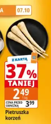 E.Leclerc Pietruszka korzeń oferta