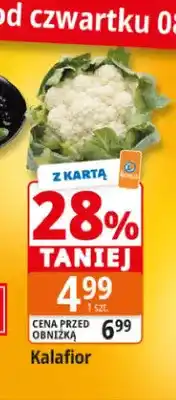 E.Leclerc Kalafior oferta