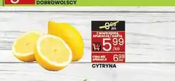Wafelek Cytryny oferta