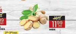 Wafelek Imbir oferta