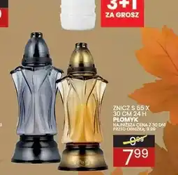 Wafelek Znicz S 55 30 cm 24h Płomyk oferta