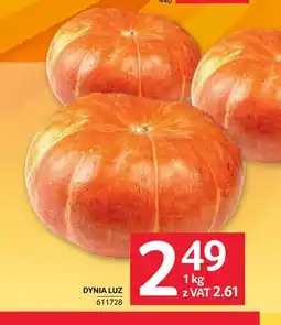 Selgros Dynia luzem oferta