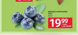 Selgros Borówki amerykańskie oferta