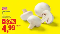 Lidl Pieczarki polskie oferta