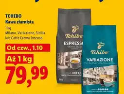 Lidl Kawa ziarnista Tchibo Sicilia oferta