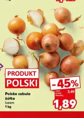 Cebula żółta polska