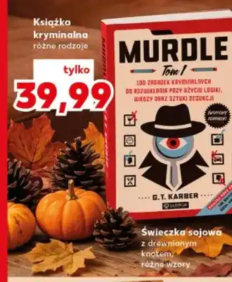 Książka kryminalna