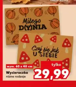 Kaufland Wycieraczka 60x40 cm oferta