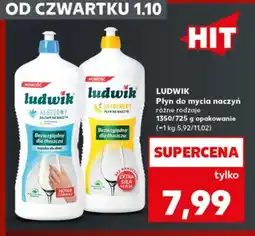 Kaufland Płyn do mycia naczyń aloesowy Ludwik oferta