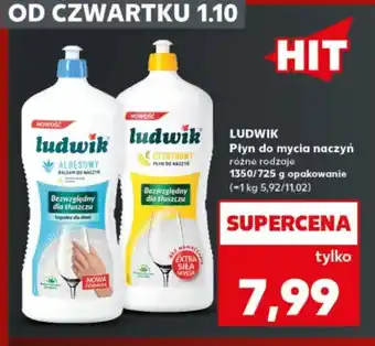 Kaufland Płyn do mycia naczyń aloesowy Ludwik oferta