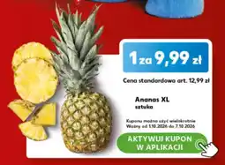 Kaufland Ananas XL oferta