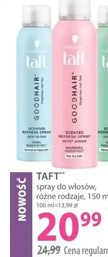 Hebe Taft spray do włosów oferta