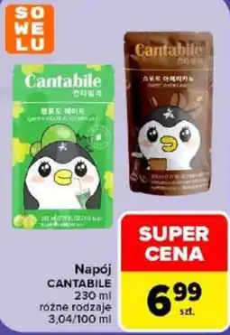 Carrefour Napój Cantabile oferta