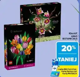 Carrefour Klocki lego botanicals oferta