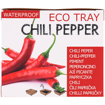 Action Mini zestaw do uprawy roślin oferta