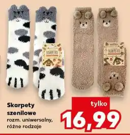 Kaufland Skarpety szenilowe oferta