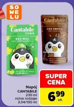 Carrefour Market Napój Cantabile różne rodzaje oferta