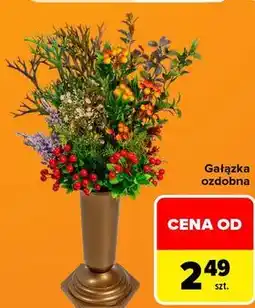 Carrefour Gałązka ozdobna oferta