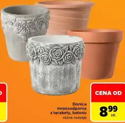 Carrefour Donica mrozoodporna z terakoty, betonu różne rodzaje oferta