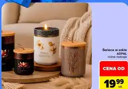 Carrefour Świeca w szkle ADPAL oferta