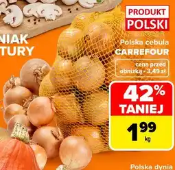 Carrefour Polska cebula CARREFOUR oferta