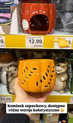 Dino Kominek zapachowy Em oferta