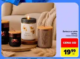 Carrefour Świeca w szkle Adpal oferta