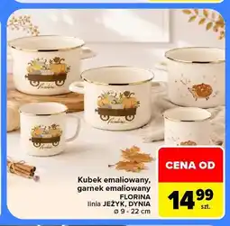 Carrefour Kubek emaliowany Florina Dynia oferta