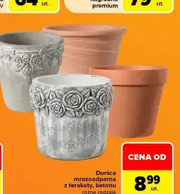 Carrefour Donica mrozoodporna z terakoty oferta