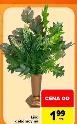 Carrefour Liść dekoracyjny oferta