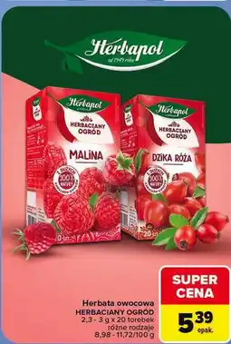 Carrefour Herbata owocowa HERBACIANY OGRÓD Herbapol oferta