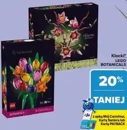 Carrefour Klocki LEGO BOTANICALS oferta