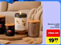 Carrefour Świeca w szkle ADPAL oferta