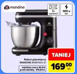 Carrefour MANDINE MSM1000-21 oferta