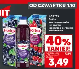 Kaufland Czarna porzeczka Hortex oferta