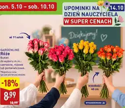 ALDI GARDENLINE Róże Bukiet oferta