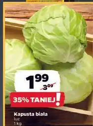 Netto Kapusta biała oferta
