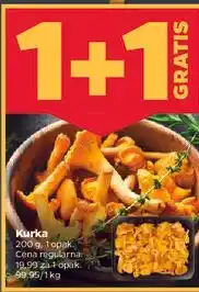 Netto Kurka oferta