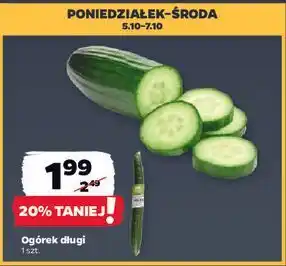 Netto Ogórek długi oferta